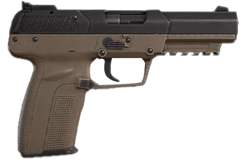 Punisher's Pistol